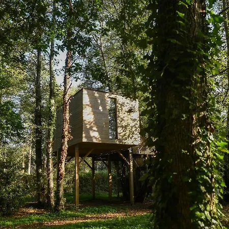 キャンプ場 Cabanas De Apriscos