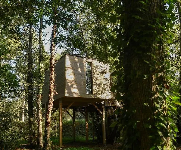 Camping De Apriscos